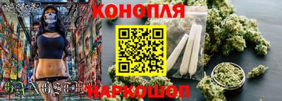 амф Гай