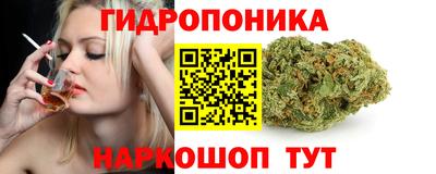 амф Гай