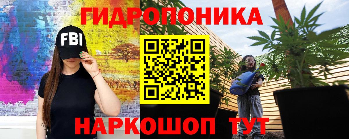 МАРИХУАНА ГИДРОПОН  Конопля Bruce Banner  Марихуана семена  Азов  Вход с VPN 
